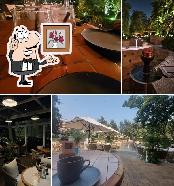 Check out how Dirty Good looks inside