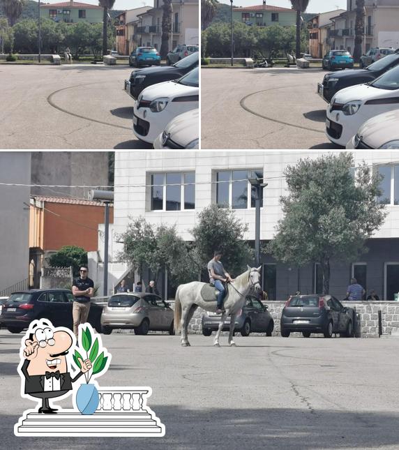 Gli esterni di Su Pintau