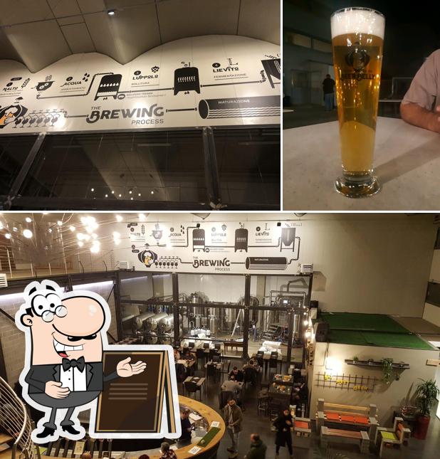 Guarda gli esterni di Beer Belly