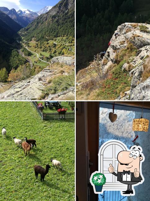 Puoi goderti l'aria fresca da seduto all'esterno di Sempioncino