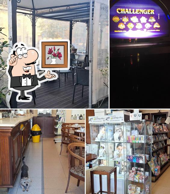 Bar Moraldi Di Pernici Arianna