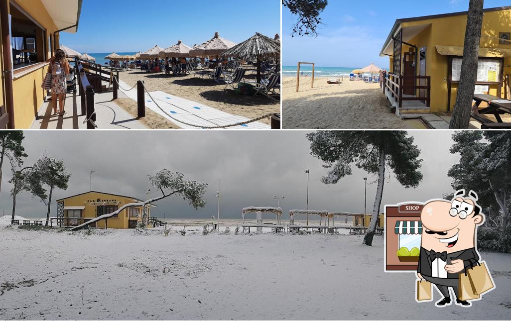 Curiosa tra gli esterni di Lido Cerrano