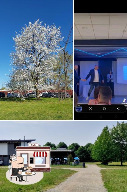 Guarda la immagine che mostra la esterno e cibo di Green Park Bar