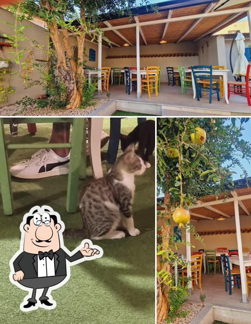 Gli interni di L’Antica Ricetta