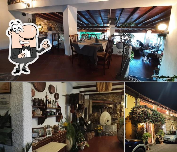 Tra le diverse cose da Ristorante Candidollo si possono trovare la interni e esterno