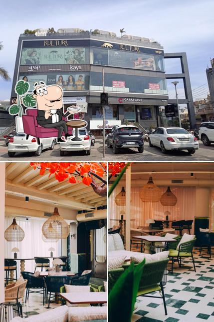 The image of Kultura’s interior and exterior