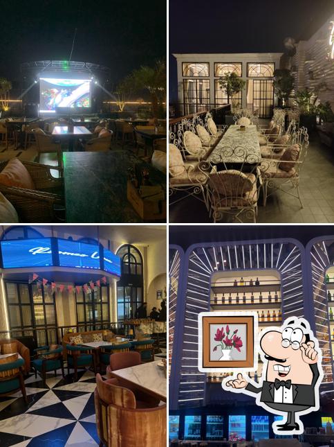 Romeo Lane The Brew Garden