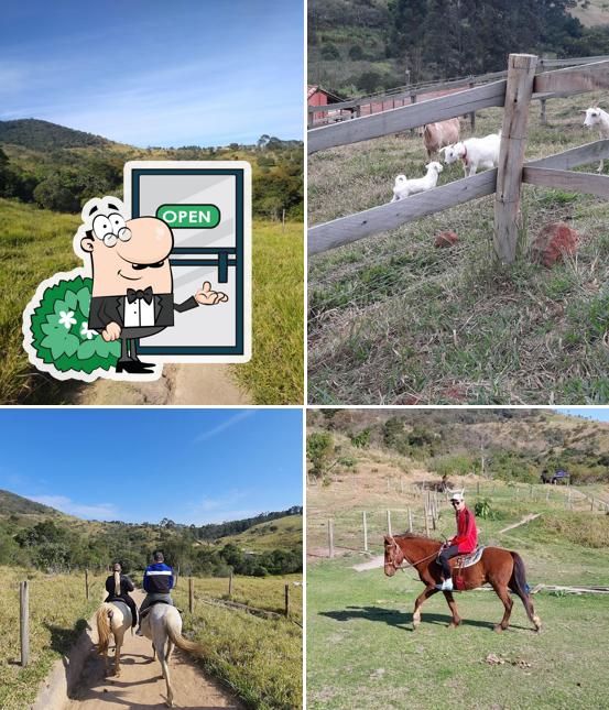 O exterior do Fazenda Raíz
