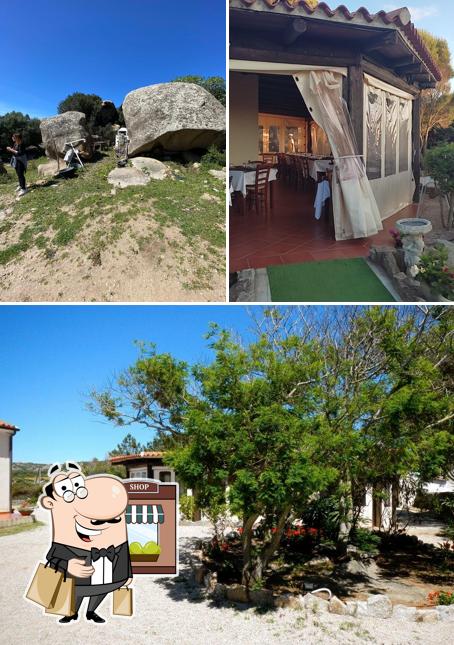 Curiosa tra l'area esterna di Agriturismo Li Nalboni
