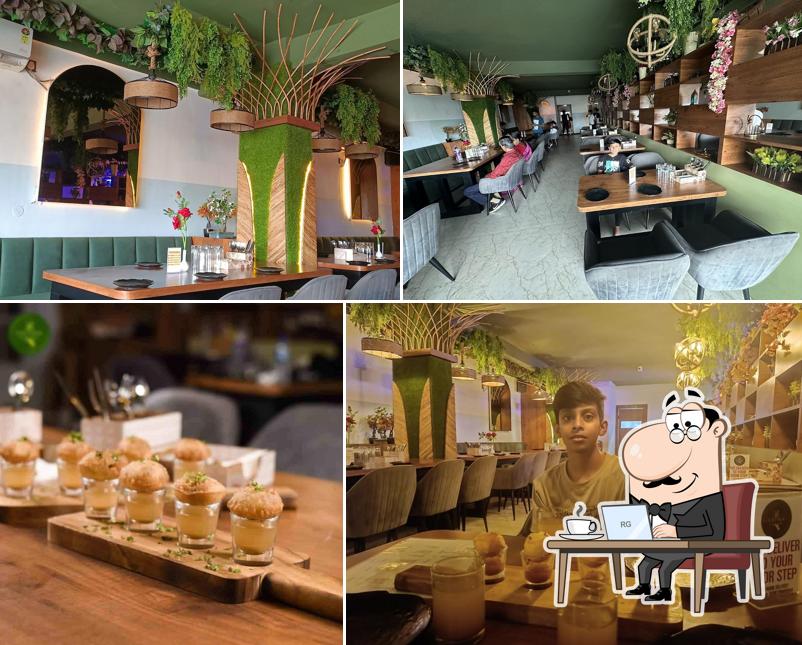 Vatika - The Kitchen Garden