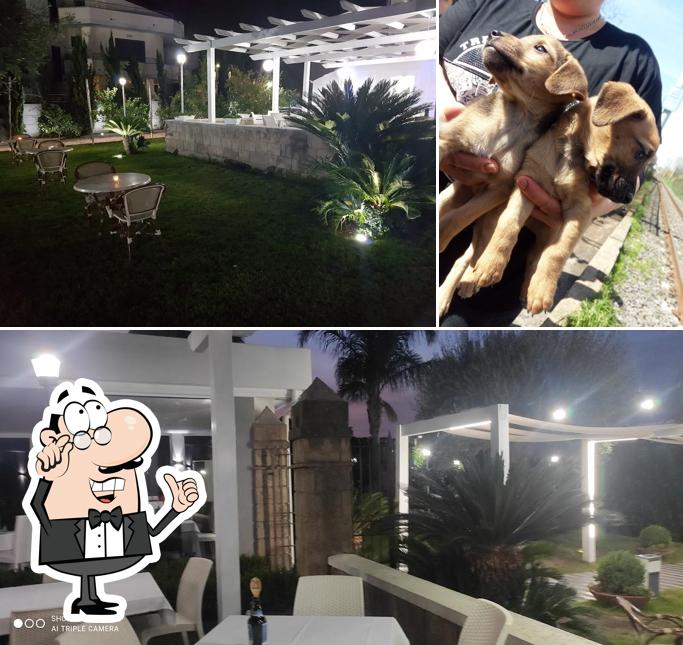 Gli interni di Ristorante Alfonso & Alfonso