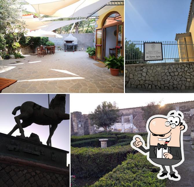 La parte esterna è una caratteristica importante di Da Nonna Luisa “Agriturismo Antico Casale”