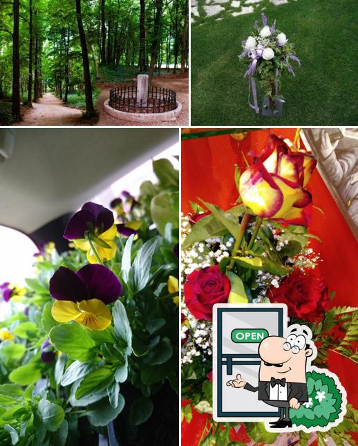 Gastronomia Antichi Sapori