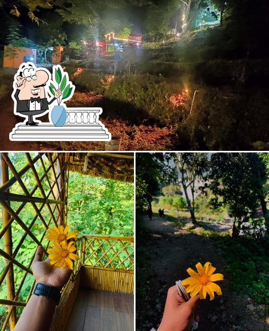 You can get some fresh air outside Anandam Farms & Cafe Machaan