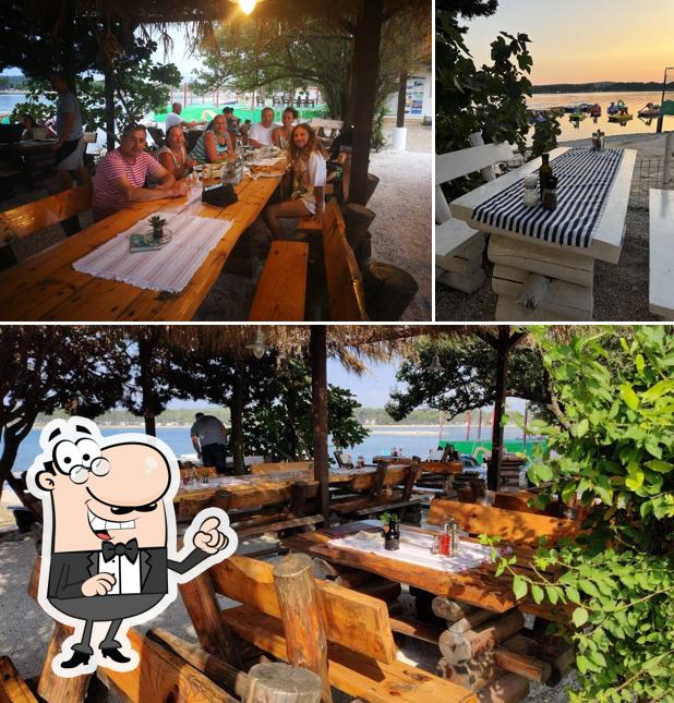 Gli interni di Octopus