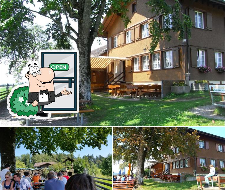 Puoi goderti l'aria fresca da seduto all'esterno di Restaurant Wildberg