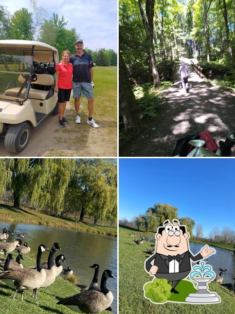 Club de Golf Mirabel