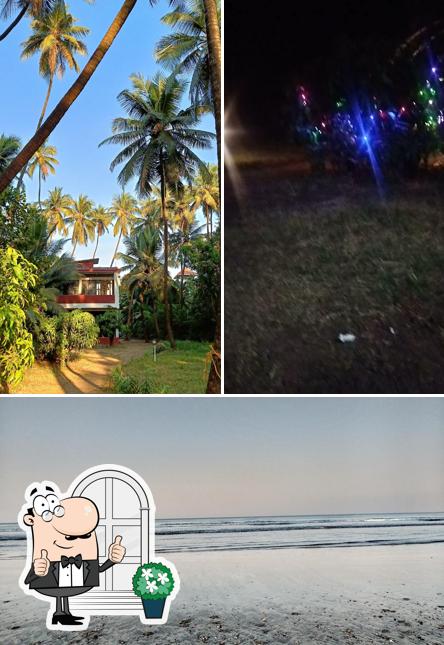 Check out how Saaj Resort looks outside