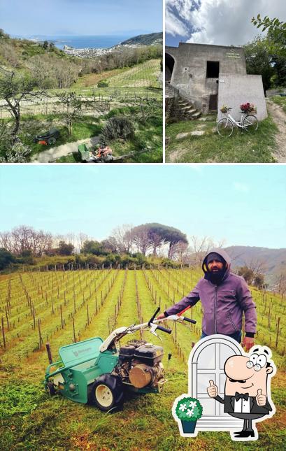 Gli esterni di Tenuta del Cannavale