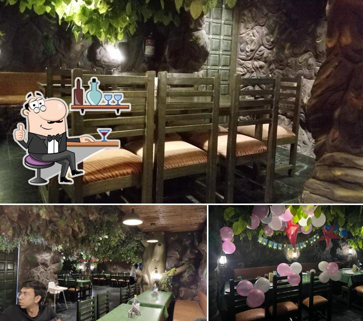 Check out how Jaipur Jungle looks inside