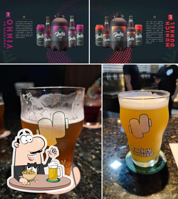 Chopp Dalla Timbó fornece uma seleção de cervejas