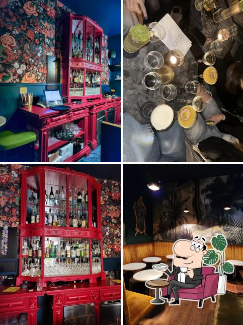 Dai un'occhiata agli interni di Kolibri Cocktail Bar