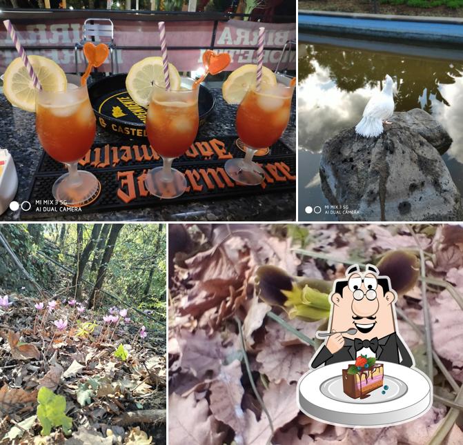 Torta al cioccolato al Parco Chico Mendes