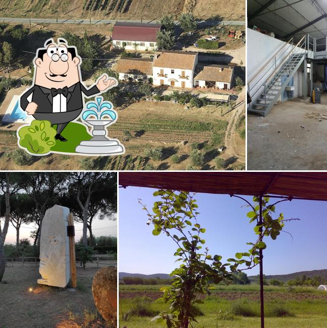 Guarda l'area esterna di Agriturismo biologico la Pulledraia