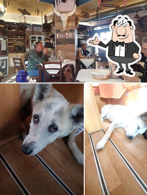 Dai un'occhiata agli interni di Trattoria del Camionista