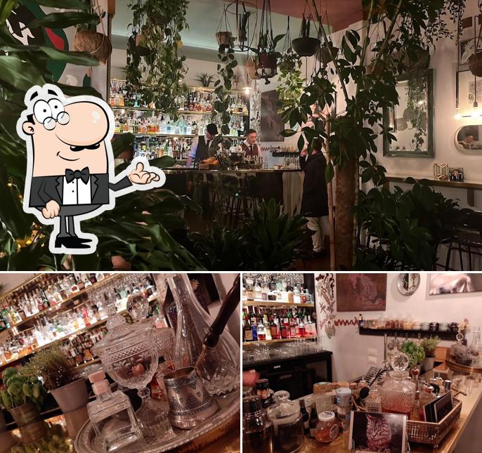 Dai un'occhiata agli interni di Cocktail Bar "Gatti e Re"