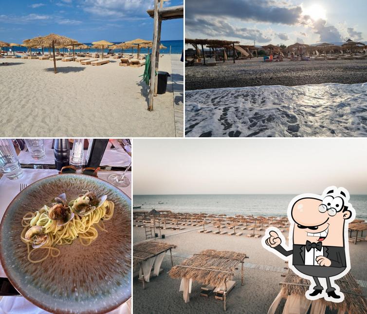 Maja Beach Club