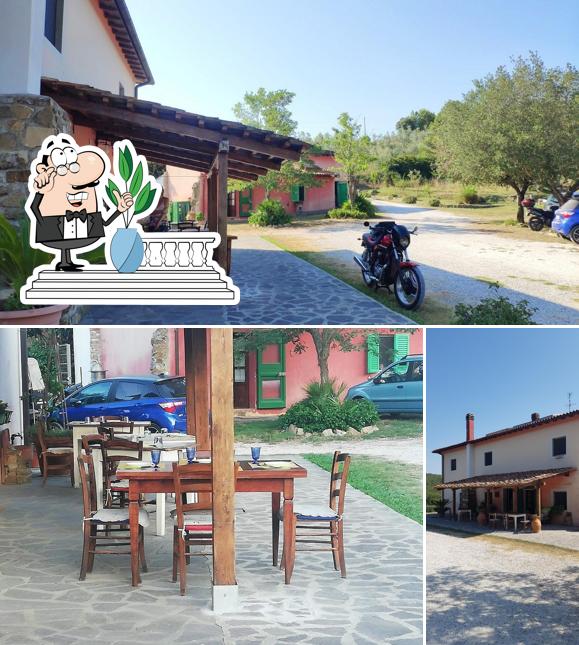 Guarda gli esterni di Agriturismo Podere i Livelli