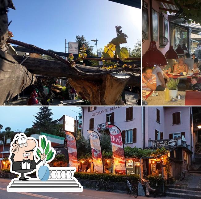 Curiosa tra la parte esterna di Ristorante da Gina