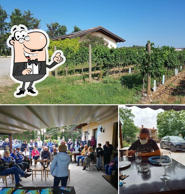 Guarda gli esterni di Agriturismo "Lorenzon Fabio"