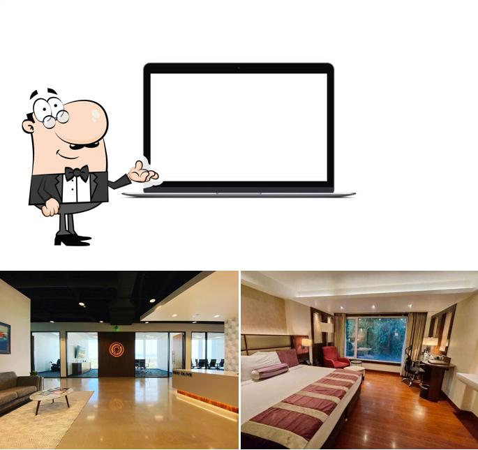 The interior of The Red Olive