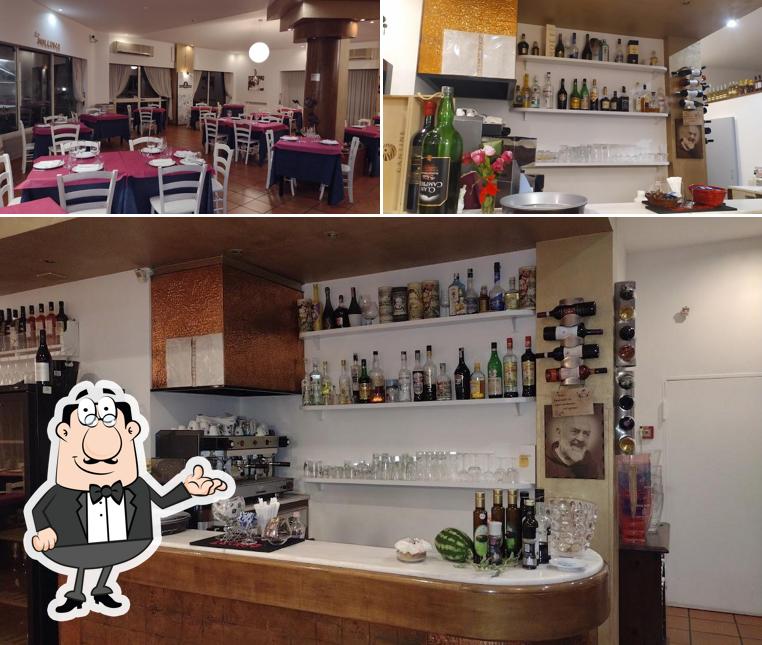 Dai un'occhiata agli interni di Dal Mollusco