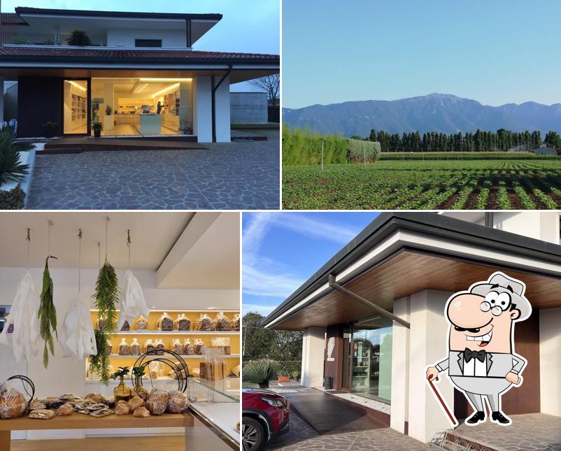 BROTTO panificio-pasticceria