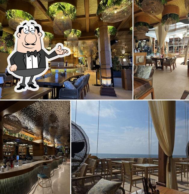 Check out how Gypsea looks inside