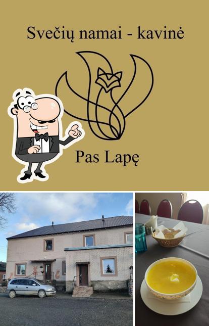 Pas Lapę