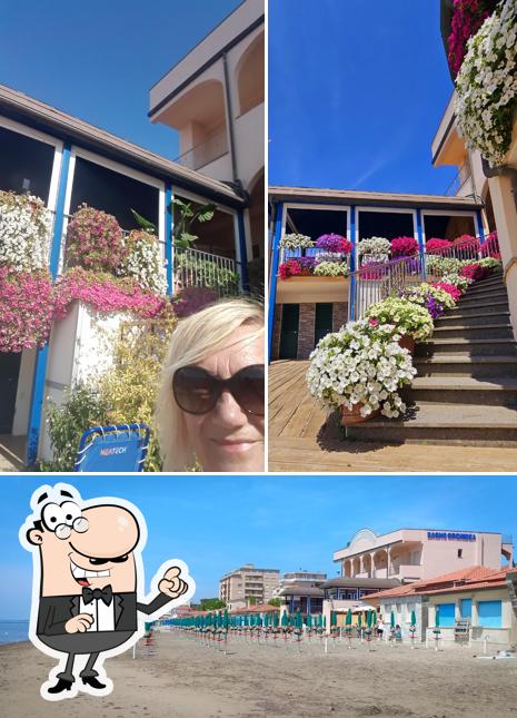 Guarda gli esterni di Albergo Ristorante Orchidea stabilimento baneare