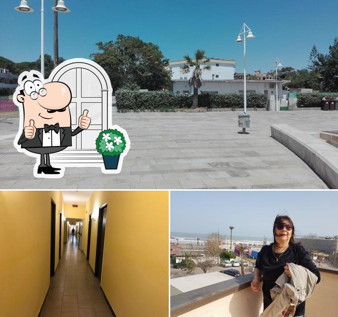 Curiosa tra la parte esterna di Hotel Turismo