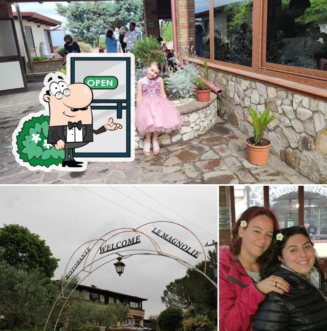 Gli esterni di le magnolie