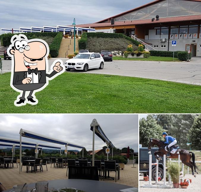 Goditi la vista dagli esterni di Restaurant Le Paddock