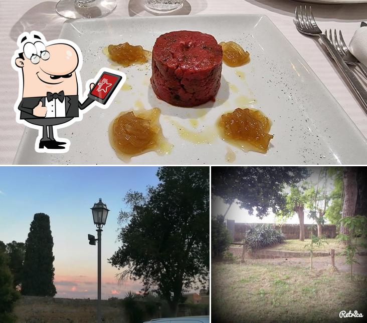 I Tullipani si caratterizza per la esterno e cibo