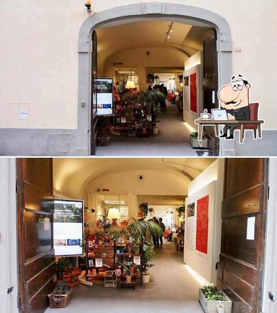 Gli interni di Fedora