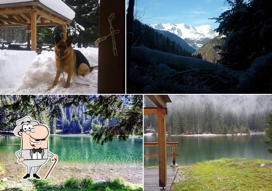Guarda gli esterni di Ristorante Chalet Lago dei Caprioli