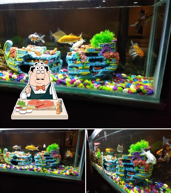 Hotel Yuvraj Bar n Resto serves a menu for seafood lovers