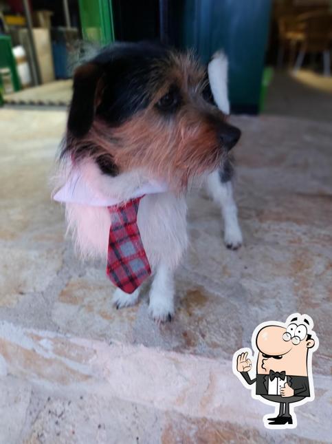 Guarda la foto di Beach bar Mini