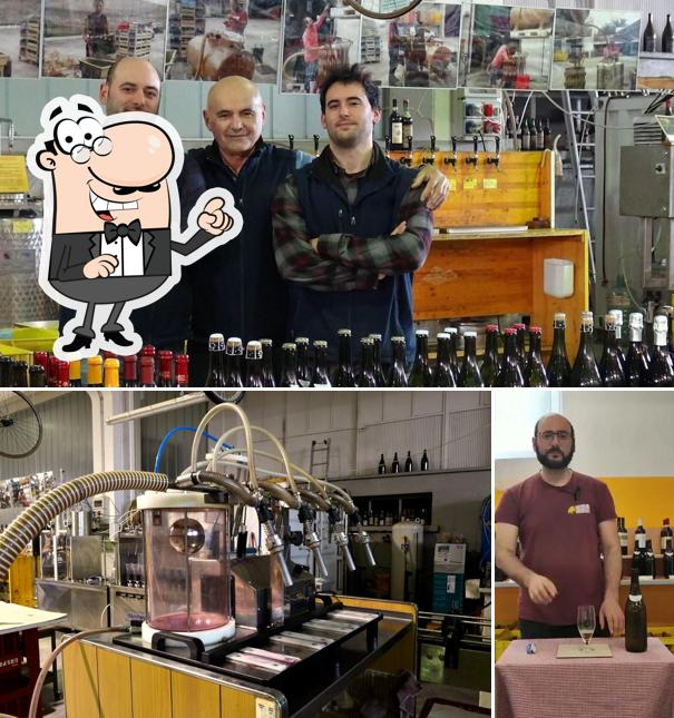 Dai un'occhiata agli interni di Cantine Cerresi