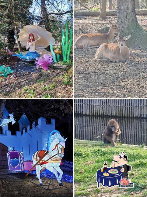 Resto Brousse du Wow Safari Peaugres